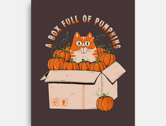 A Box Full Of Pumpkins