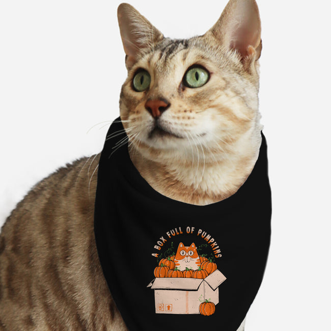 A Box Full Of Pumpkins-Cat-Bandana-Pet Collar-GODZILLARGE