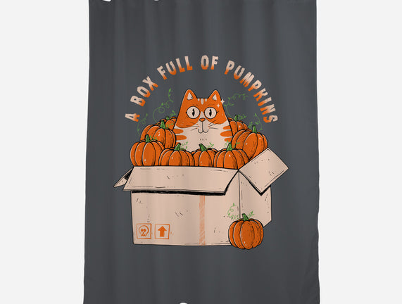 A Box Full Of Pumpkins