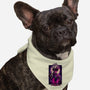 Special Grade Sorcerer-Dog-Bandana-Pet Collar-hypertwenty