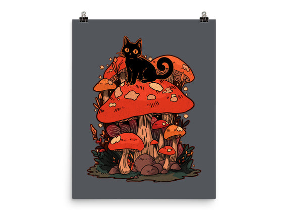 Feline Fungi