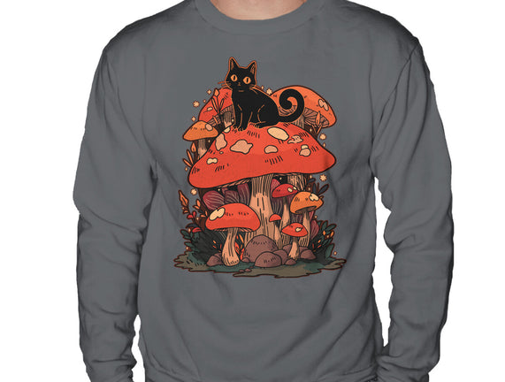 Feline Fungi