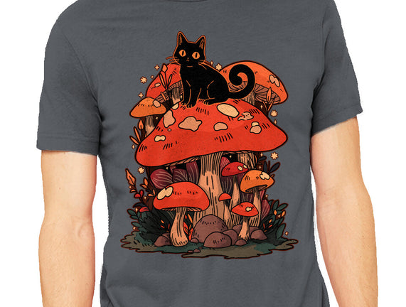 Feline Fungi