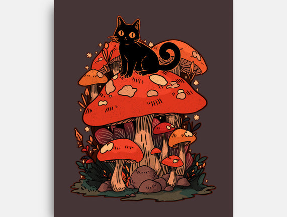 Feline Fungi