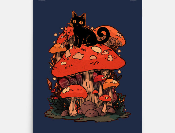 Feline Fungi