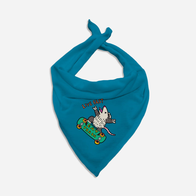 Skate And Eat Trash-Dog-Bandana-Pet Collar-MaxoArt