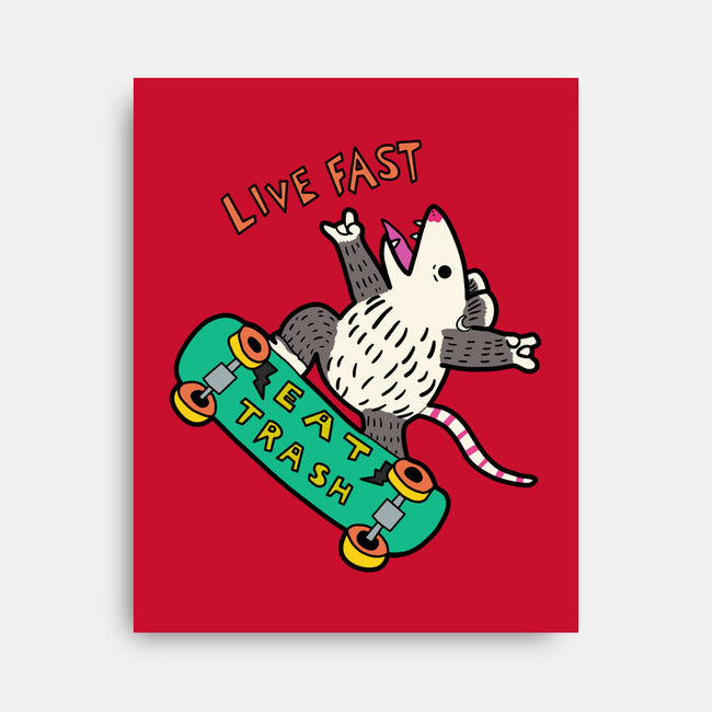 Skate And Eat Trash-None-Stretched-Canvas-MaxoArt