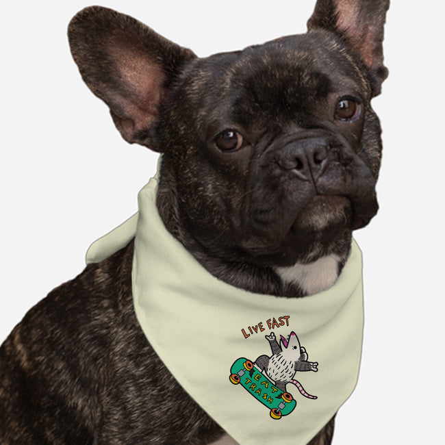 Skate And Eat Trash-Dog-Bandana-Pet Collar-MaxoArt