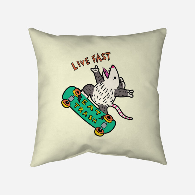 Skate And Eat Trash-None-Non-Removable Cover w Insert-Throw Pillow-MaxoArt