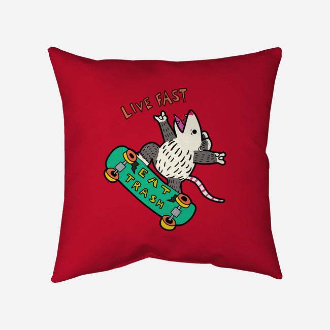 Skate And Eat Trash-None-Non-Removable Cover w Insert-Throw Pillow-MaxoArt