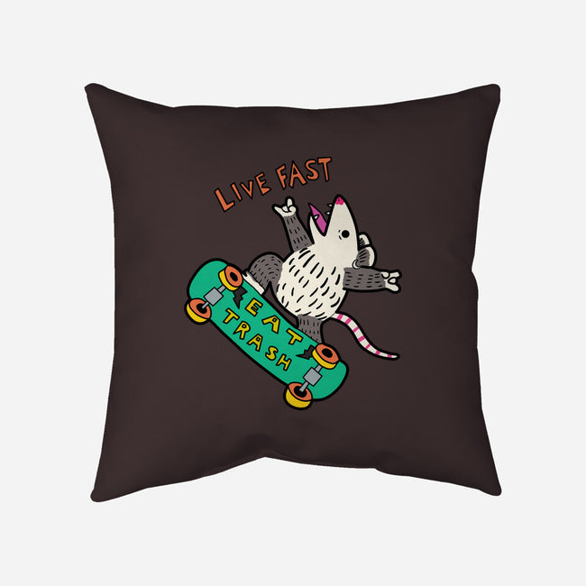 Skate And Eat Trash-None-Removable Cover w Insert-Throw Pillow-MaxoArt