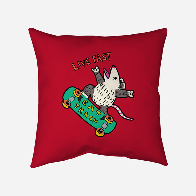 Skate And Eat Trash-None-Removable Cover-Throw Pillow-MaxoArt