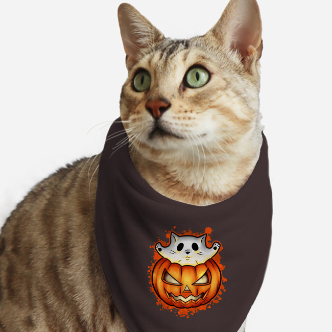 Cat In Pumpkin-Cat-Bandana-Pet Collar-nickzzarto