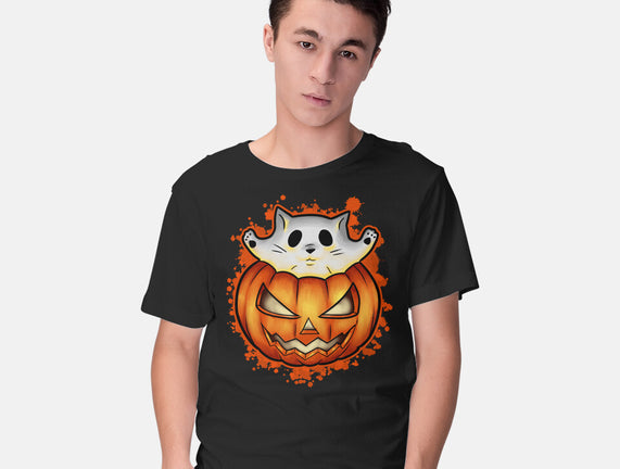 Cat In Pumpkin