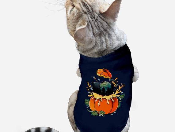 Pumpkin Kitty