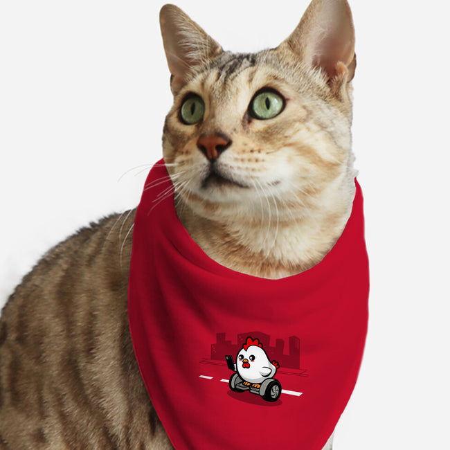 Cross With Ease-Cat-Bandana-Pet Collar-Boggs Nicolas