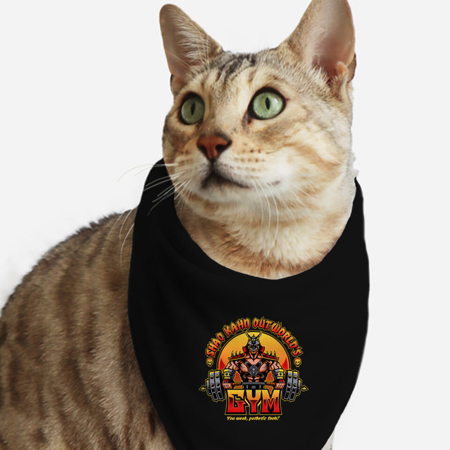 Outworld's Gym-Cat-Bandana-Pet Collar-demonigote