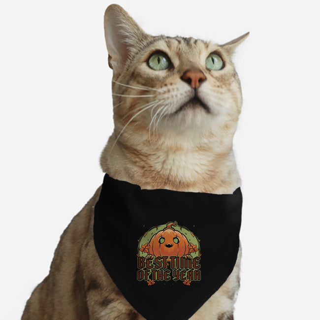 Pumpkin Autumn Halloween-Cat-Adjustable-Pet Collar-Studio Mootant