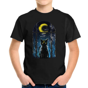 Moon Visitor