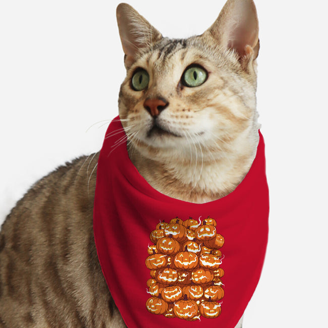 Pick A Boo-Cat-Bandana-Pet Collar-manoystee