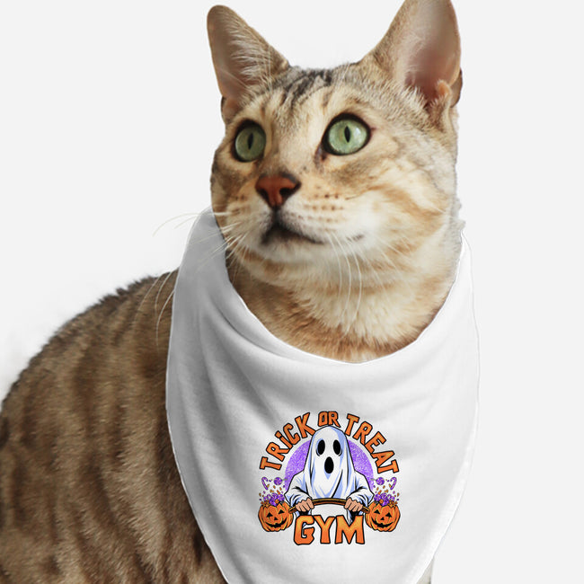 Boo Gym-Cat-Bandana-Pet Collar-spoilerinc