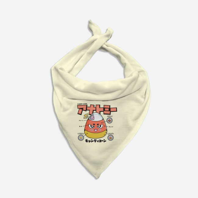 Anatomy Of A Candy Corn-Cat-Bandana-Pet Collar-Bear Noise