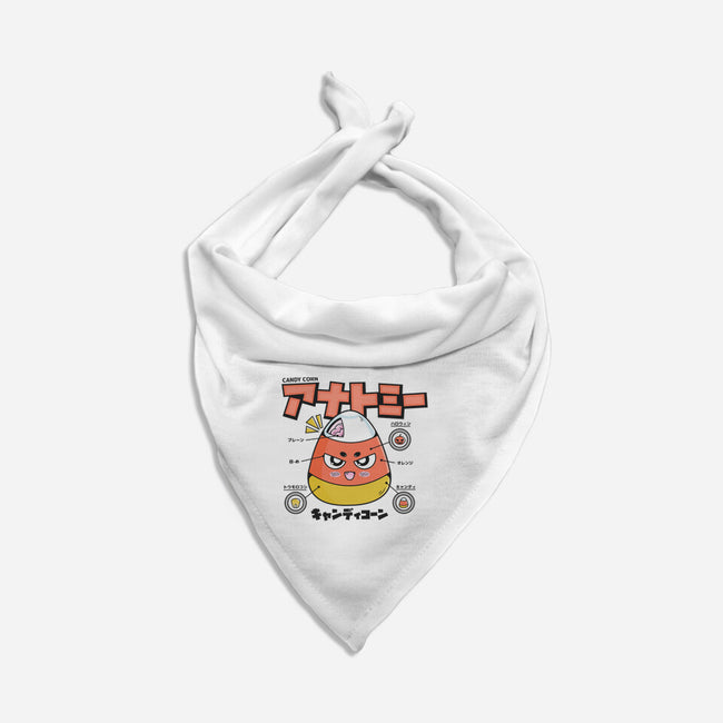 Anatomy Of A Candy Corn-Cat-Bandana-Pet Collar-Bear Noise