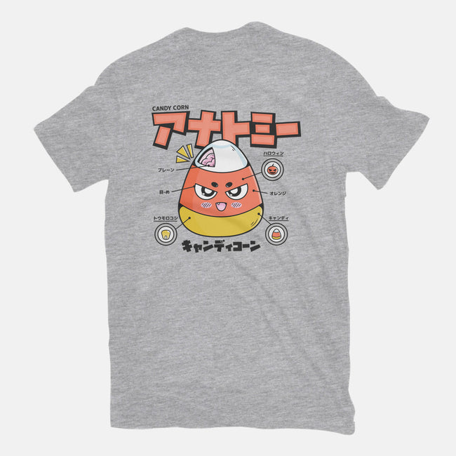 Anatomy Of A Candy Corn-Unisex-Basic-Tee-Bear Noise