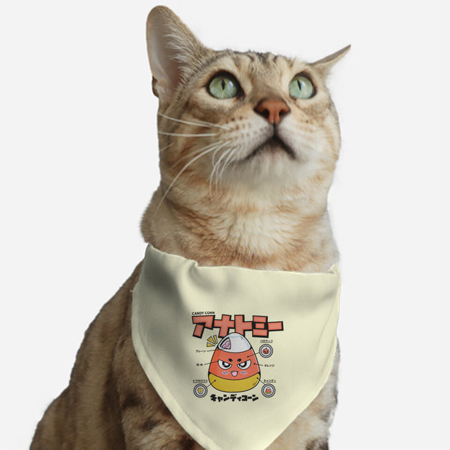 Anatomy Of A Candy Corn-Cat-Adjustable-Pet Collar-Bear Noise