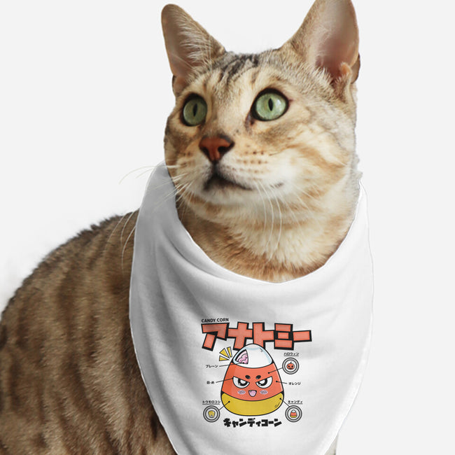 Anatomy Of A Candy Corn-Cat-Bandana-Pet Collar-Bear Noise