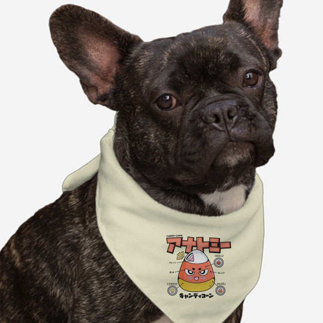 Anatomy Of A Candy Corn-Dog-Bandana-Pet Collar-Bear Noise