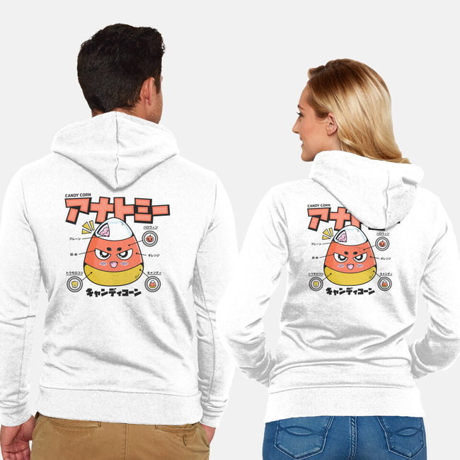 Anatomy Of A Candy Corn-Unisex-Zip-Up-Sweatshirt-Bear Noise