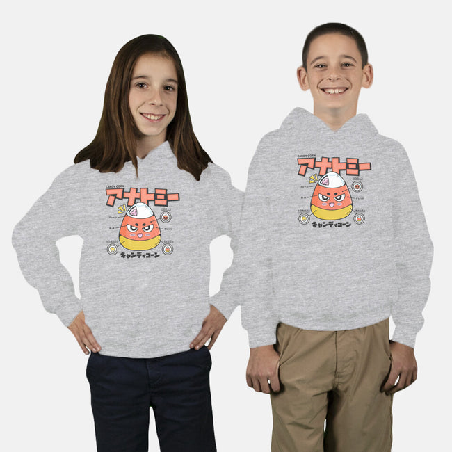 Anatomy Of A Candy Corn-Youth-Pullover-Sweatshirt-Bear Noise