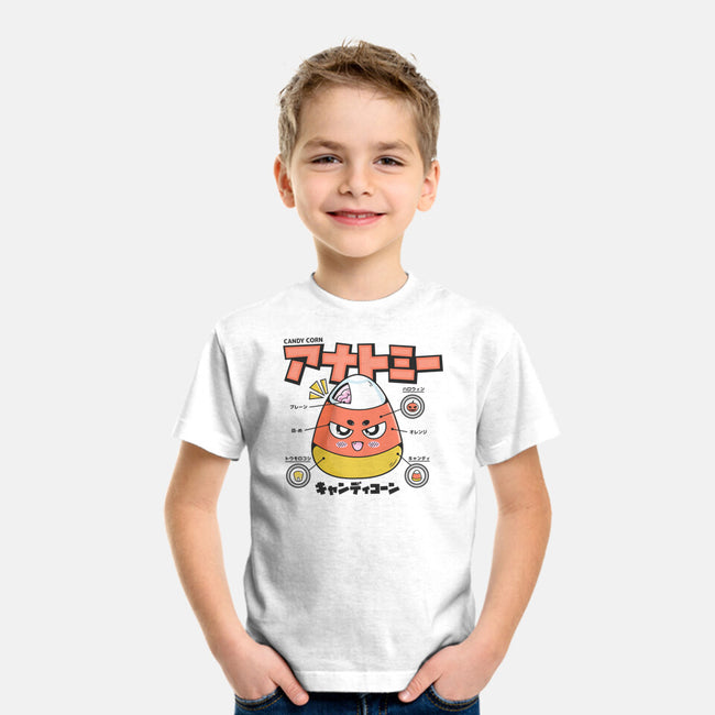 Anatomy Of A Candy Corn-Youth-Basic-Tee-Bear Noise