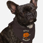 Stay Spooky Pumpkin-Dog-Bandana-Pet Collar-zachterrelldraws