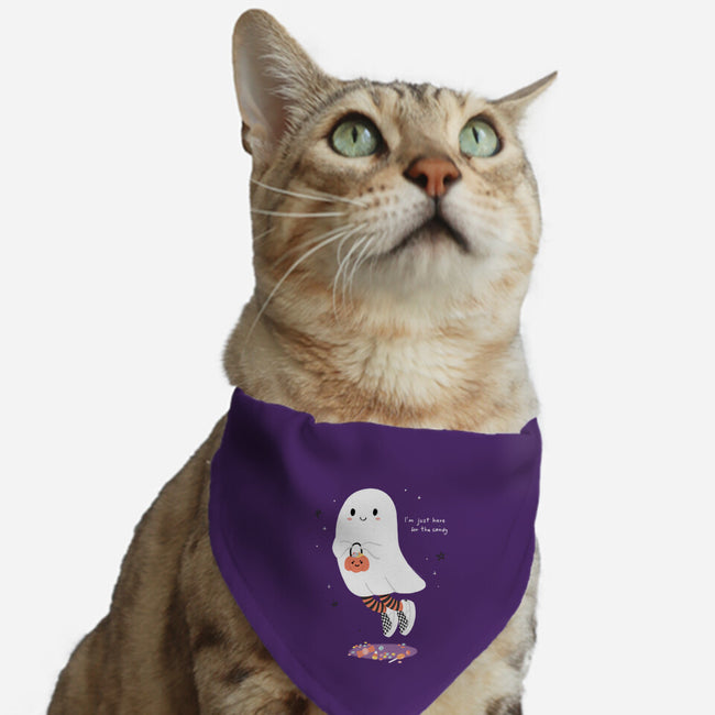 Candy Ghost-Cat-Adjustable-Pet Collar-Paola Locks