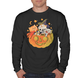 Pumpkin And Cats