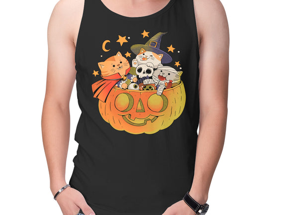 Pumpkin And Cats