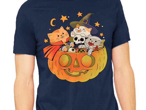 Pumpkin And Cats