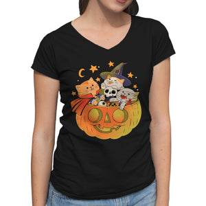 Pumpkin And Cats