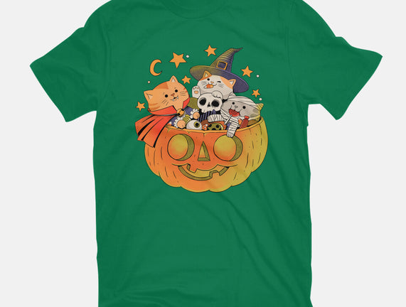 Pumpkin And Cats