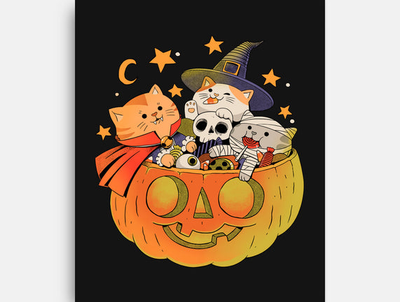 Pumpkin And Cats