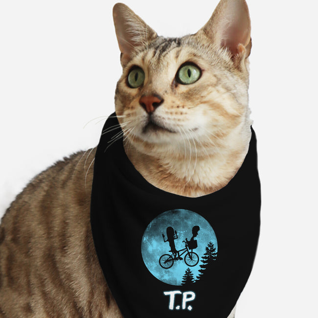 T.P.-Cat-Bandana-Pet Collar-Boggs Nicolas