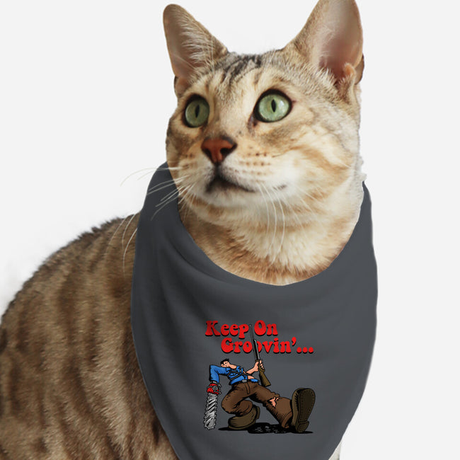 Keep On Groovin-Cat-Bandana-Pet Collar-Boggs Nicolas