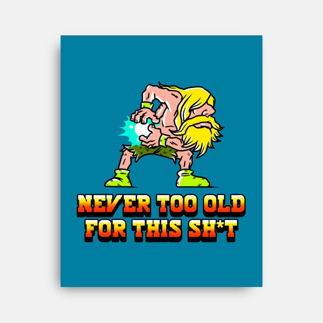 Never Too Old-None-Stretched-Canvas-naomori