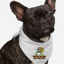 Never Too Old-Dog-Bandana-Pet Collar-naomori