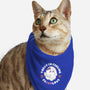 Feeling Faboolous-Cat-Bandana-Pet Collar-J31designs