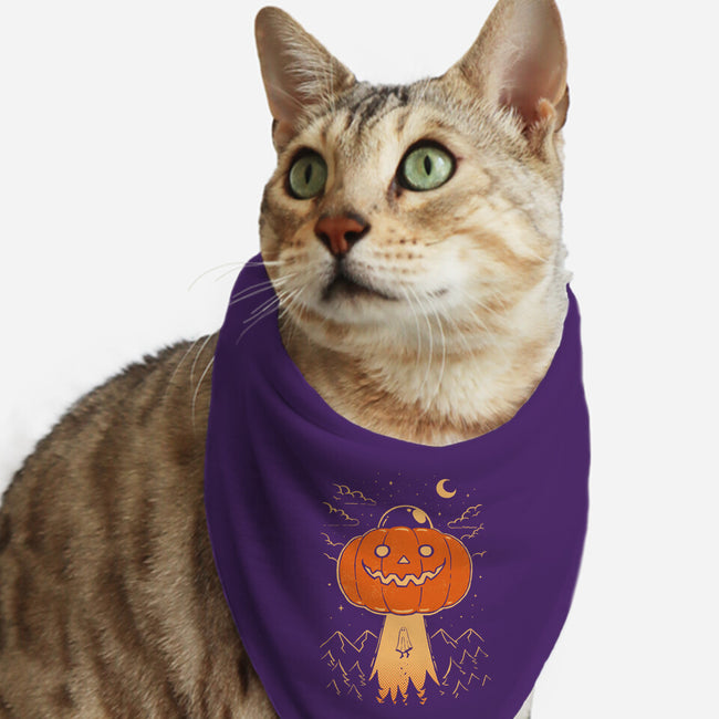 I Believe In Halloween-Cat-Bandana-Pet Collar-dfonseca