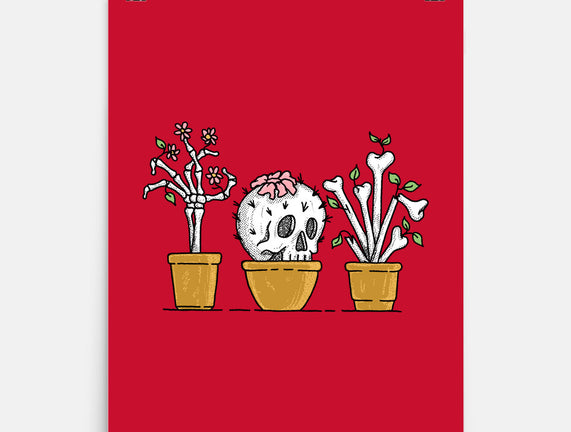 Bone Plants