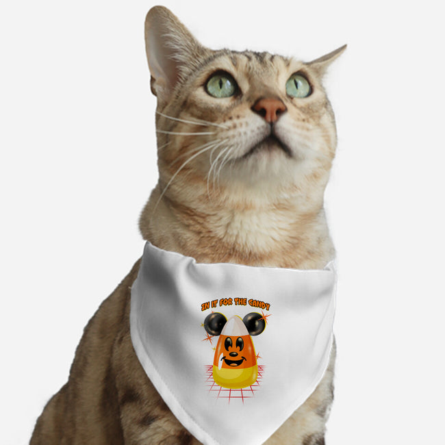 Here For The Candy-Cat-Adjustable-Pet Collar-palmstreet